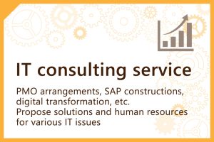 IT Consulting service